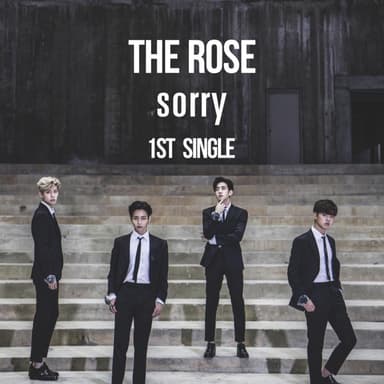 Sorry & 좋았는데